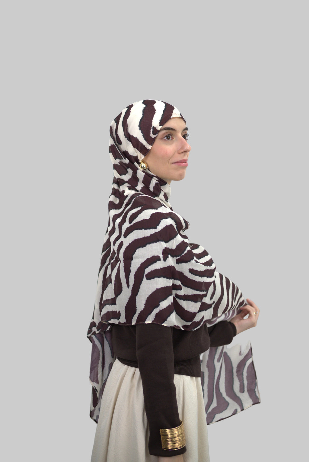 Zebra Dusk
