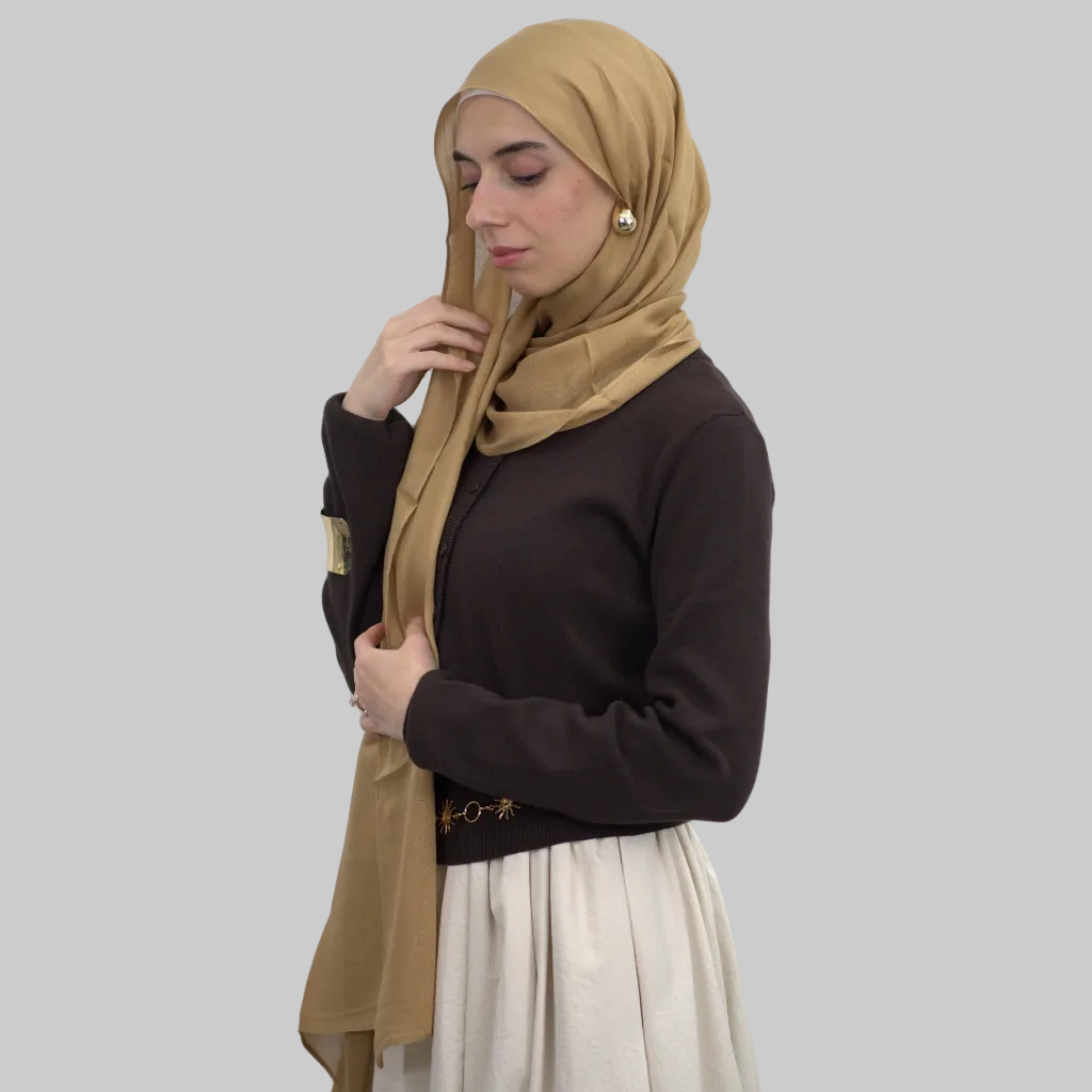 Beige Modal
